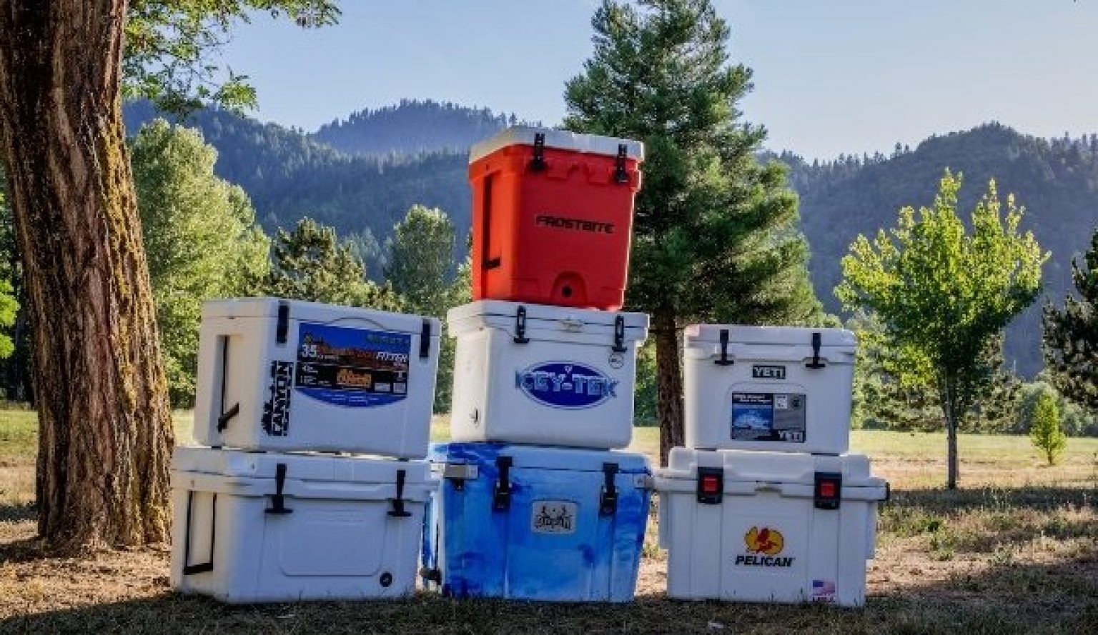 10 Best Coolers & Ice Chests Review, Comparison 2020 Camping Rotomolded